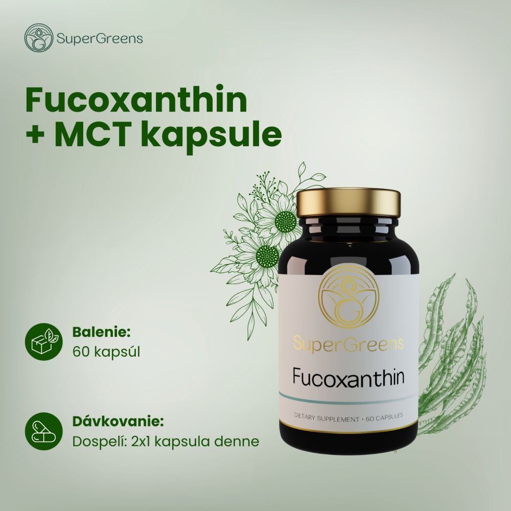 Fucoxanthin + MCT kapsule – Obrázok 2
