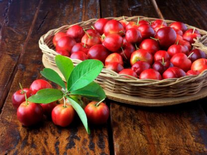 acerola