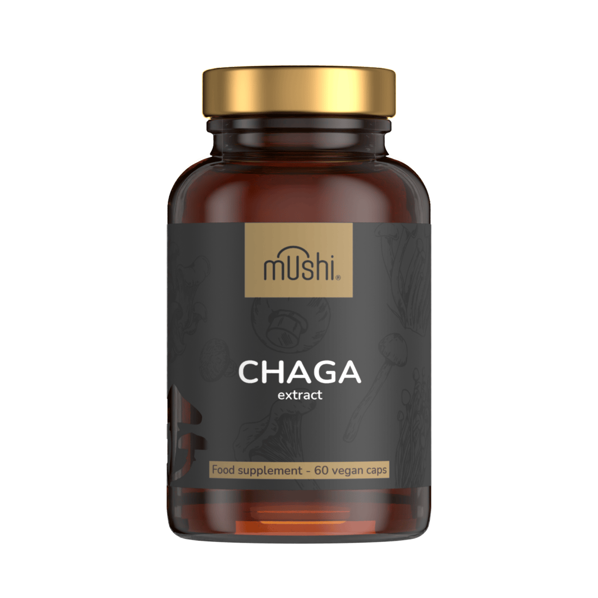 čaga