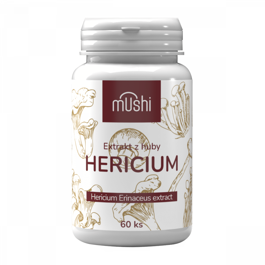 hericium sk (2)
