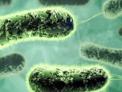 helikobacter pylori