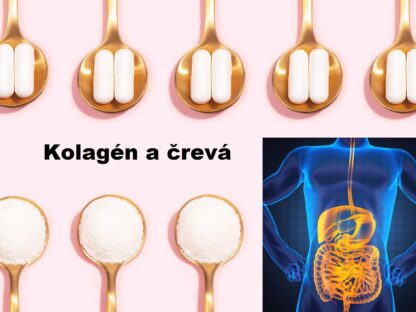 Kolagén črevá