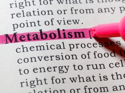Metabolizmus označuje všetky chemické procesy prebiehajúce nepretržite vo vašom tele, ktoré umožňujú život a normálne fungovanie (udržiavanie normálneho fungovania v tele sa nazýva homeostáza).Metabolizmus je proces, ktorý sa vekom spomaľuje, ale výber životného štýlu môže ovplyvniť tieto zmeny.