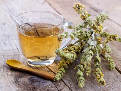 sideritis