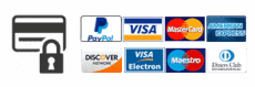 payment logo v2