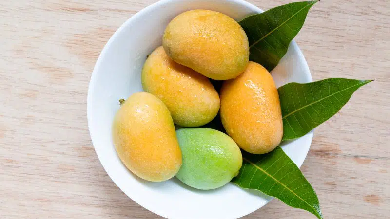 africké mango