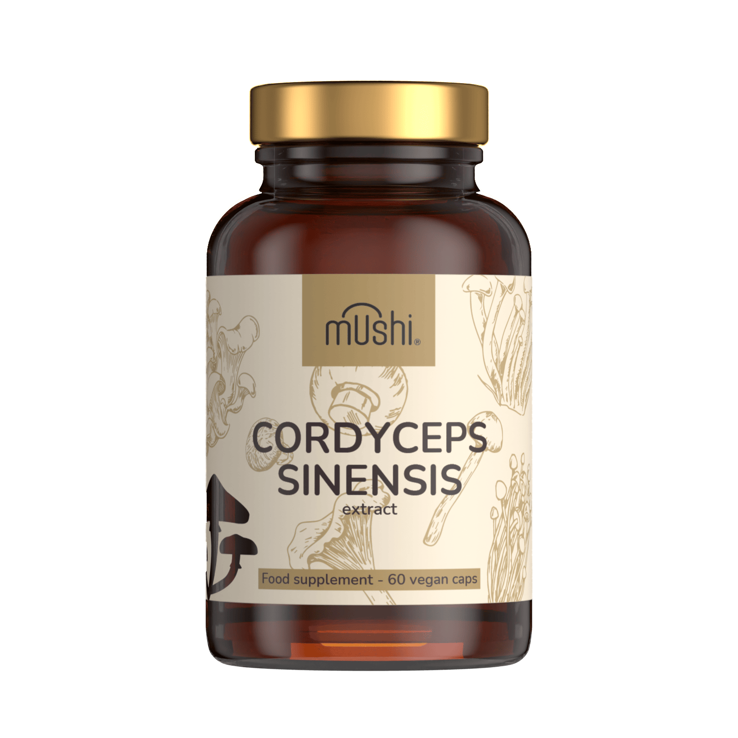 Cordyceps