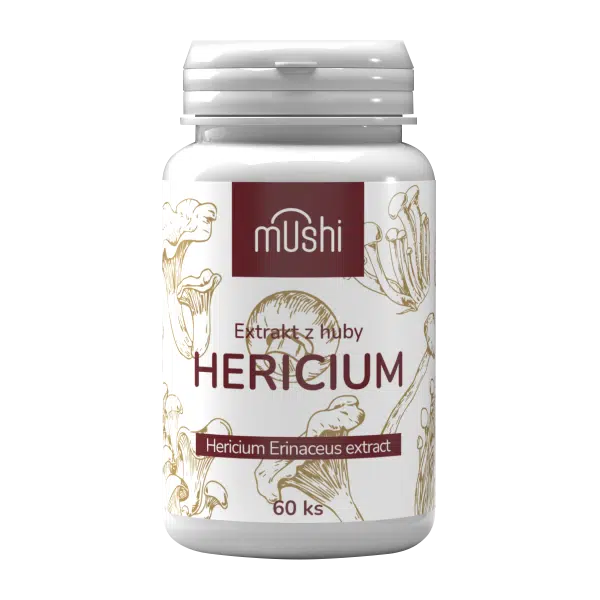 hericium sk (2)