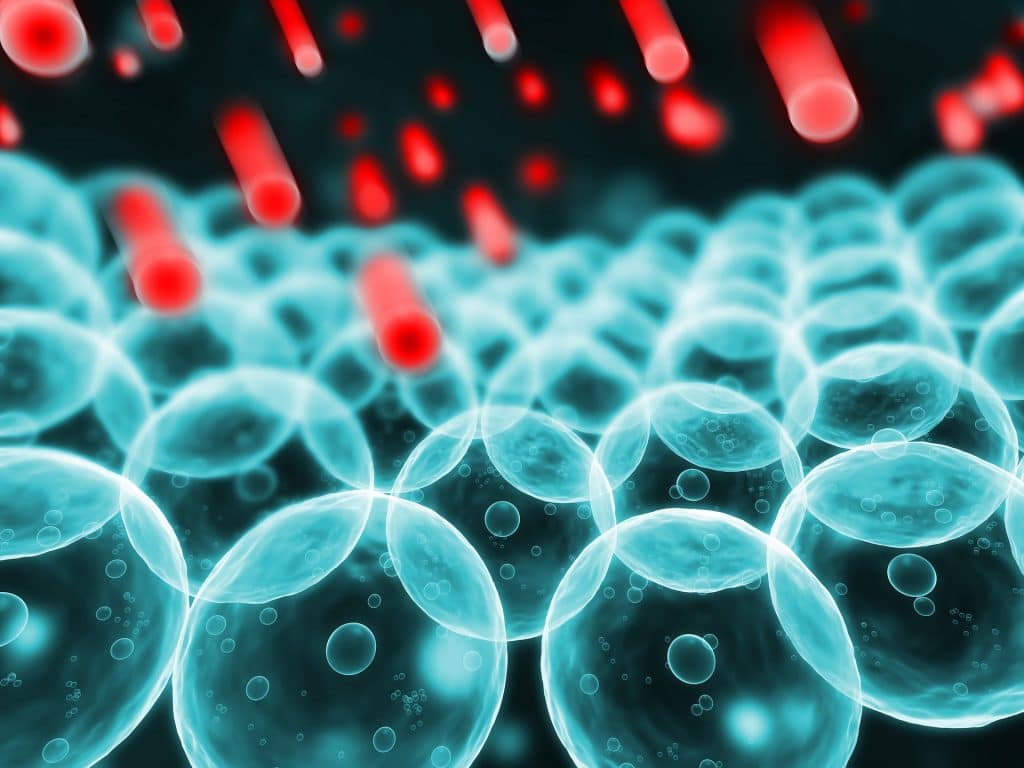 oxidačný stres Dlhodobé vystavenie zvýšeným hladinám prooxidačných faktorov môže spôsobiť štrukturálne defekty na úrovni mitochondriálnej DNA, ako aj funkčnú zmenu niekoľkých enzýmov a bunkových štruktúr, čo vedie k aberáciám v génovej expresii. Moderný životný štýl spojený so spracovanými potravinami, vystavenie širokému spektru chemikálií a nedostatok pohybu hrá dôležitú úlohu pri indukcii oxidačného stresu. Avšak použitie liečivých rastlín s antioxidačnými vlastnosťami sa využíva pre ich schopnosť liečiť alebo predchádzať niekoľkým ľudským patologickým stavom, pri ktorých sa zdá, že oxidačný stres je jednou z príčin.