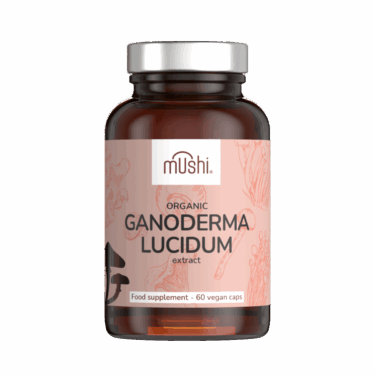 bio reishi_ganoderma
